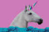 Creative illustration of a white horse with a colorful unicorn horn against a pink background.