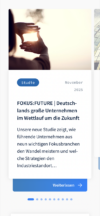 Vorschaukarte einer Studie mit dem Titel „FOKUS:FUTURE | Deutschlands große Unternehmen im Wettlauf um die Zukunft“. Das Beitragsbild zeigt Hände, die einen Rahmen um die untergehende Sonne bilden.