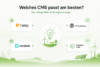 Grafik zur CMS-Auswahl für Energieversorger mit zentralem Entscheidungselement und den Optionen TYPO3, WordPress, Storyblok und Headless CMS, dargestellt in einem nachhaltigen, grünen Design.